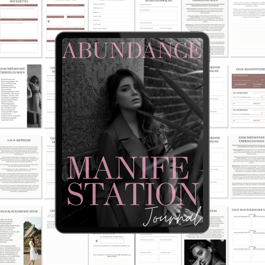 Manifestation Journal Manifesting Journal PLR Planer, Geld Mindset, PLR Vorlagen, Master Resell Rechte